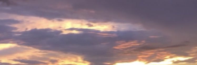 pilifassi's profile banner image