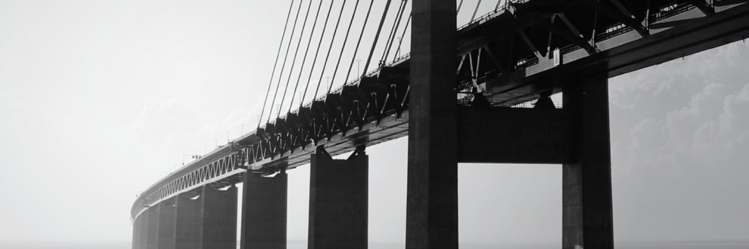 Salentis's profile banner image