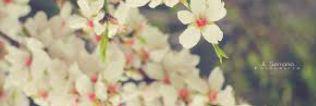 NooeGomez_'s profile banner image