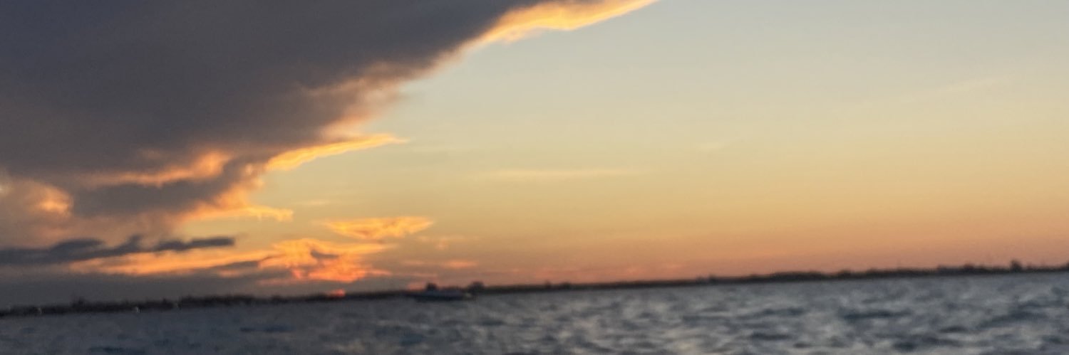 dimelina_'s profile banner image