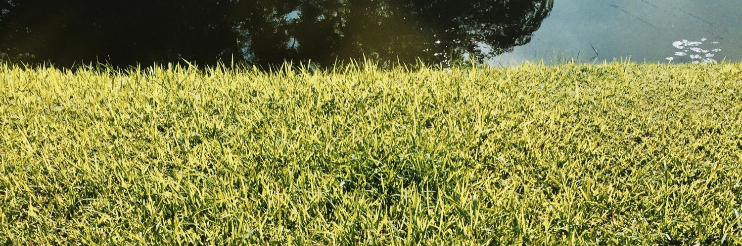 pakphoom17's profile banner image