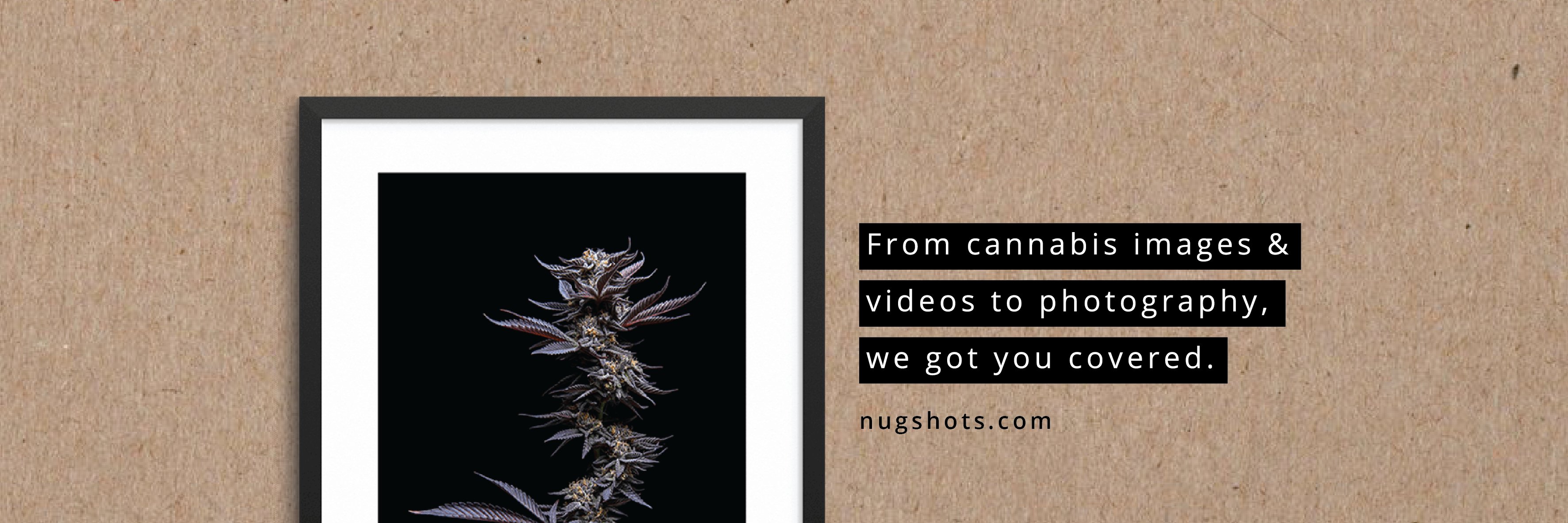 nugshots's profile banner image