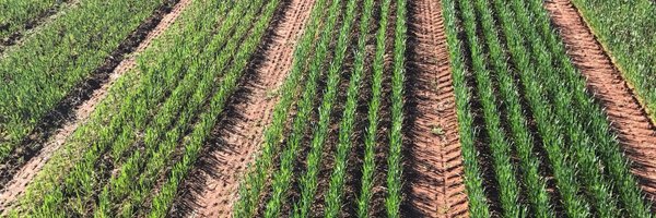 gsandral Profile Banner