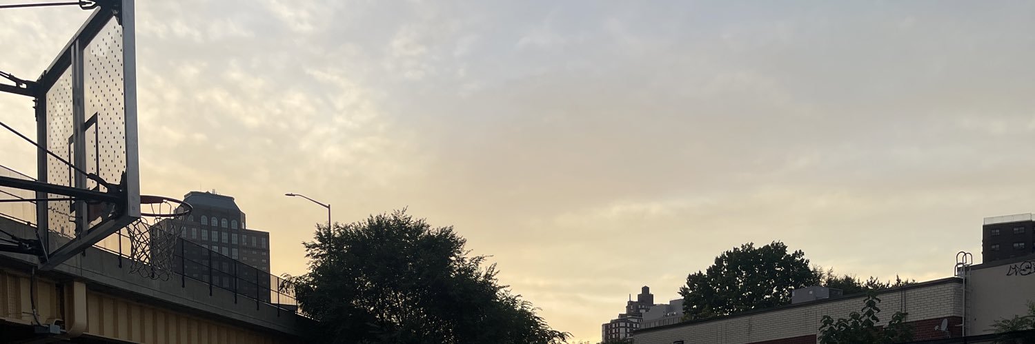 rahullikeschips's profile banner image