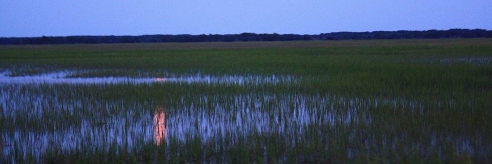 ChristyMooMoo's profile banner image