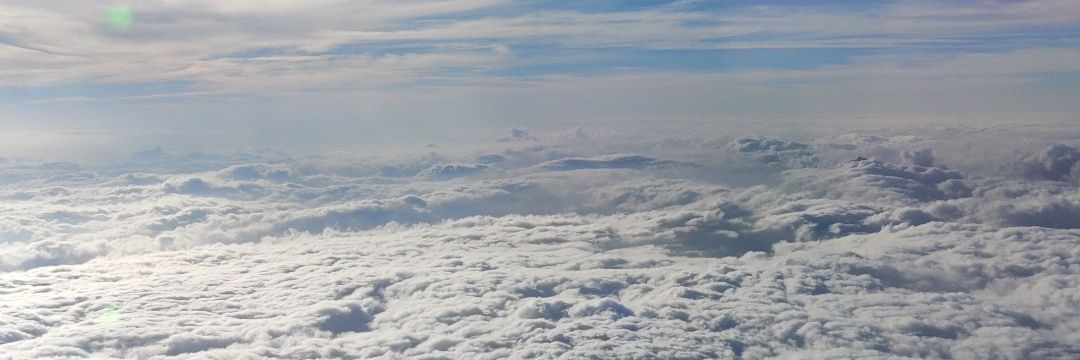 AnetusPancletus's profile banner image