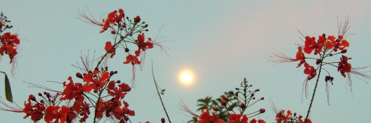kosamganjoo's profile banner image