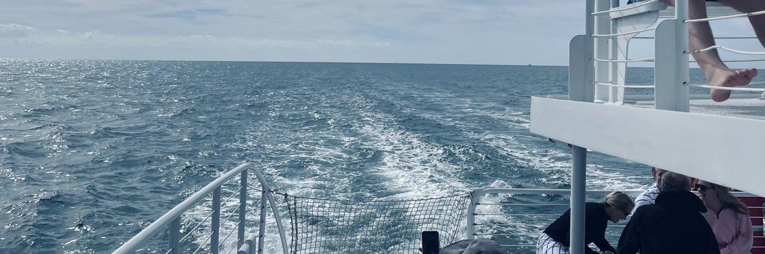 kardubbs's profile banner image