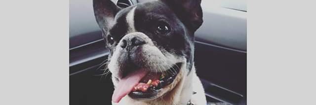 Joshua T. Schoof banner