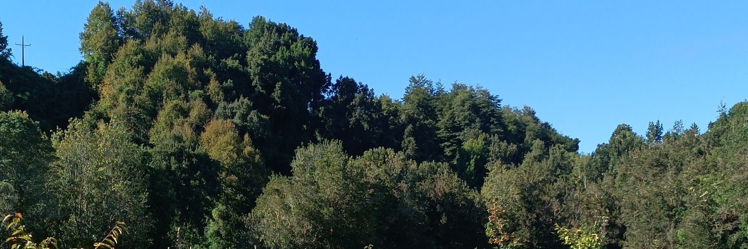 cesar_vidal's profile banner image