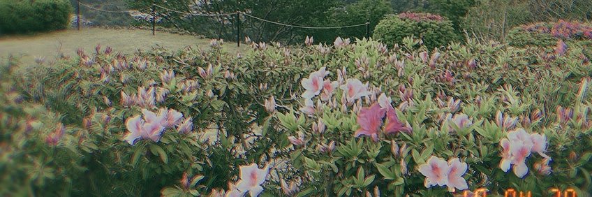 まとい banner
