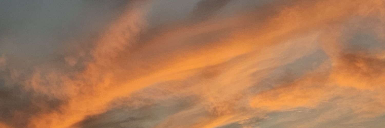 ᴍᴀɴᴜᴇʟ ᴄᴀʀᴍᴏɴᴀ ' banner