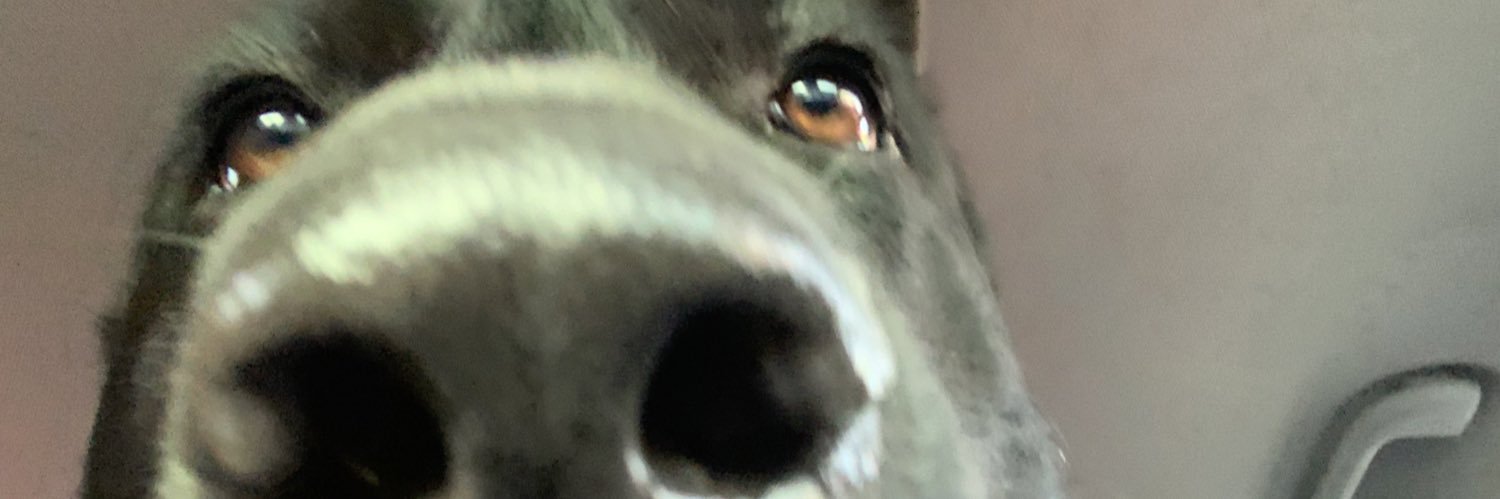 kxssxndra's profile banner image