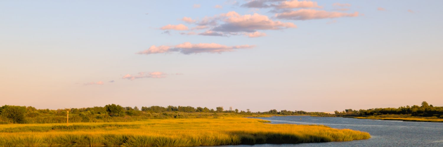 Benjamin Forbes banner