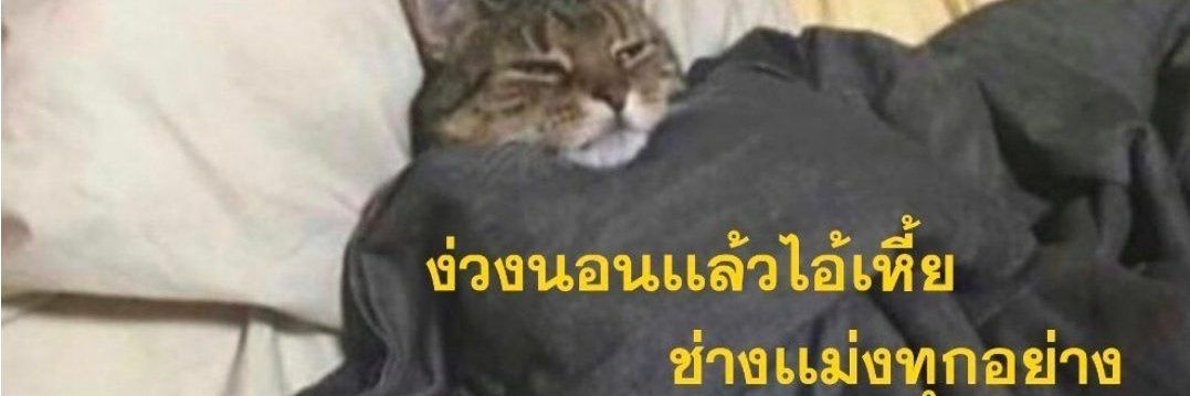 SeptNe🌻ไม่กินผัก banner