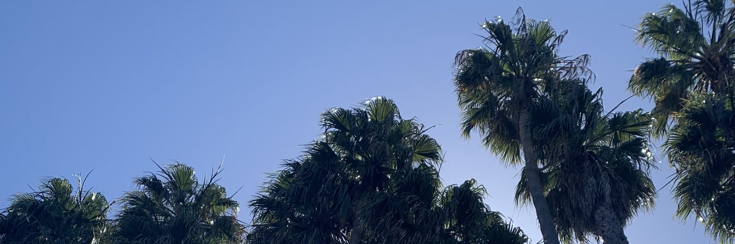 miranda_doleo's profile banner image