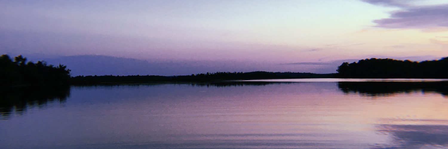 yourgirllick's profile banner image