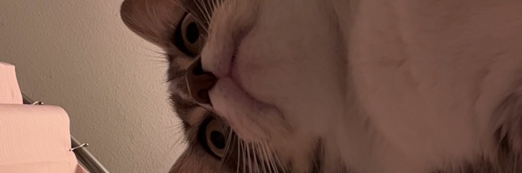 CarmenEdano's profile banner image