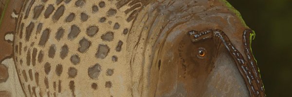 TheBioBob Profile Banner