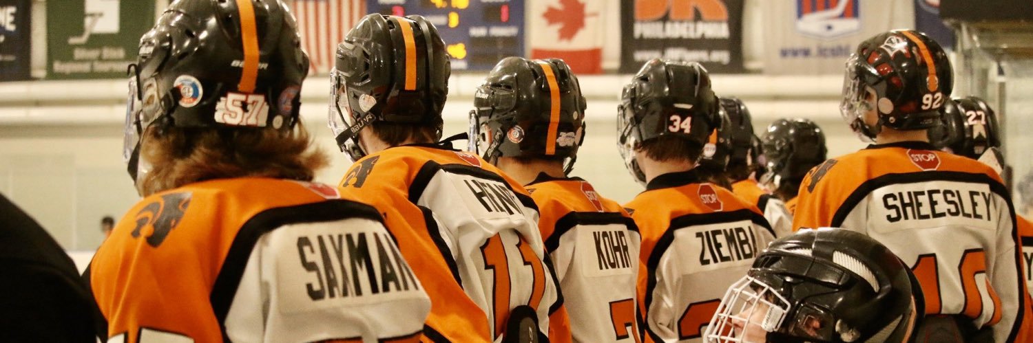 Palmyra Ice Hockey banner