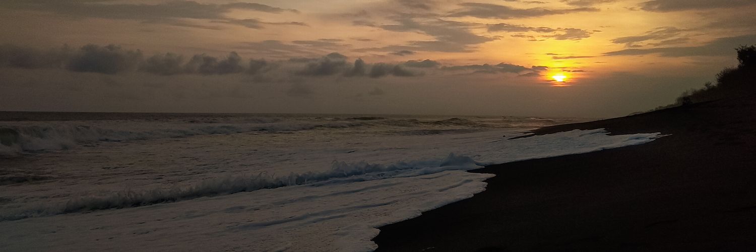 mitaocta's profile banner image