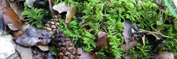 doktorkampi Profile Banner