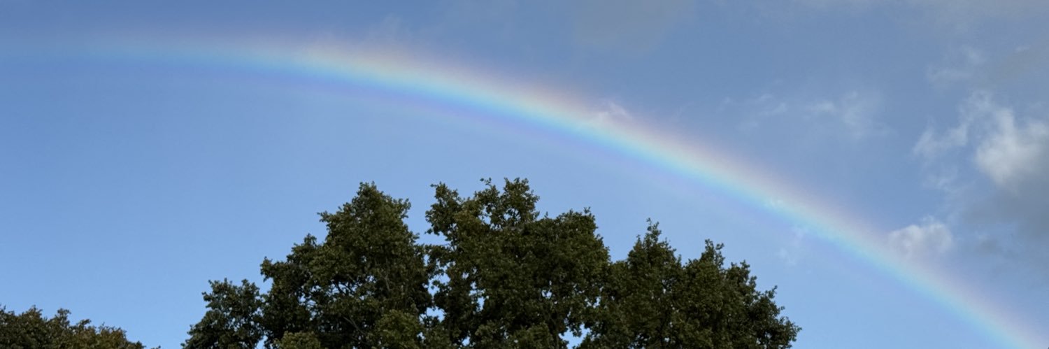 kazeboy1985's profile banner image
