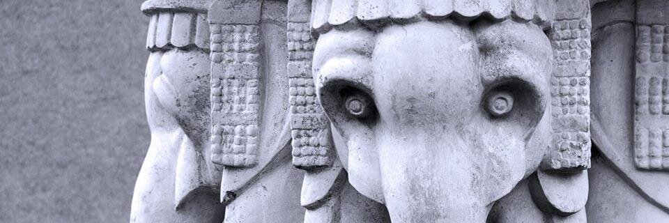 veeferraro's profile banner image
