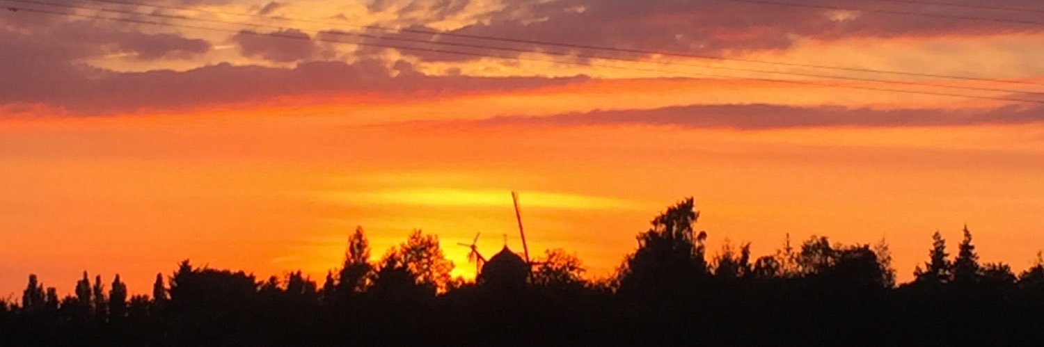 frusvejgaard's profile banner image