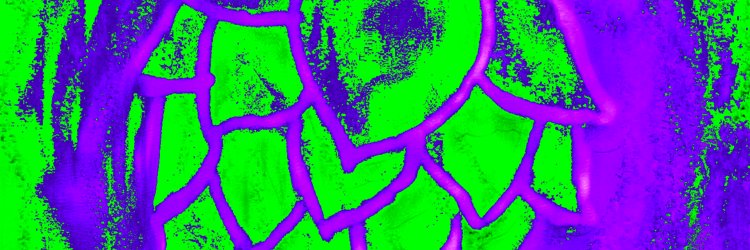 JulioZeni's profile banner image