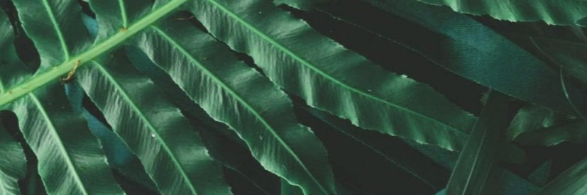 tomashofficial's profile banner image