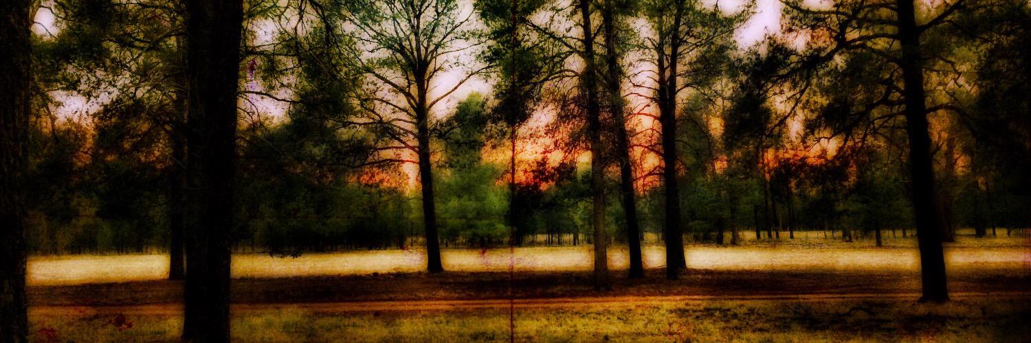 BarratCraig's profile banner image