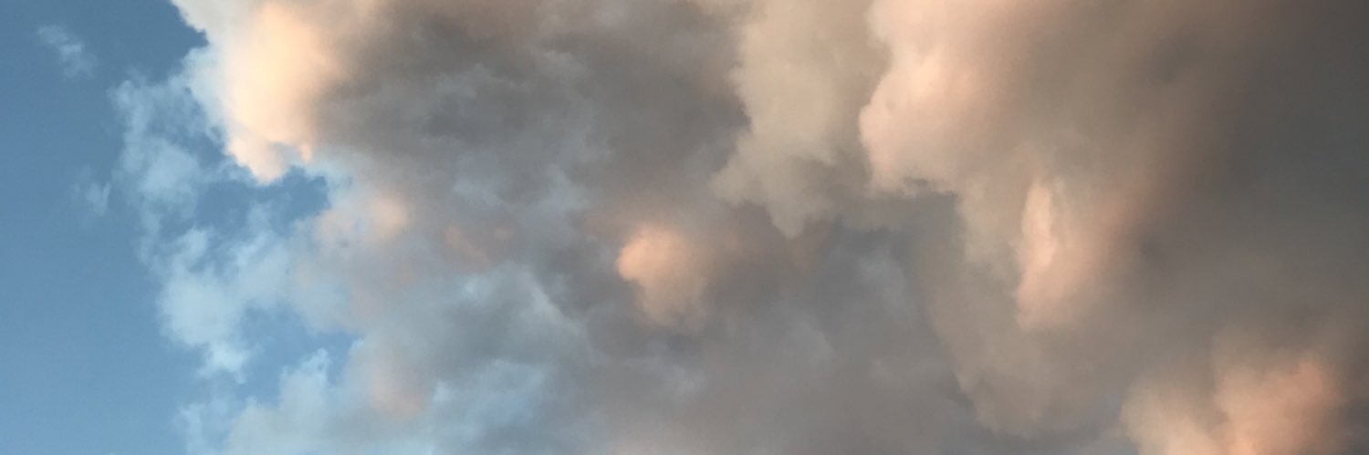 pooonslayer's profile banner image