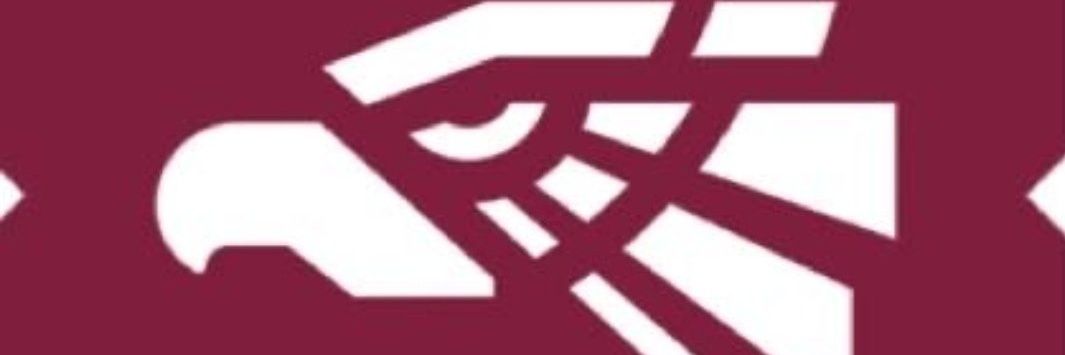 MVZ Gabriel León #QuédateEnCasa banner