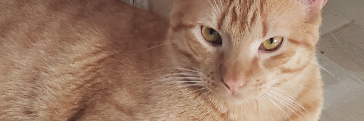 lapssad's profile banner image