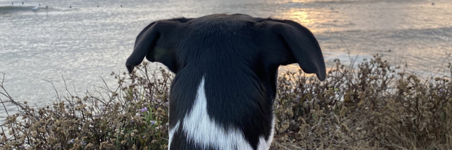 madi_porter's profile banner image
