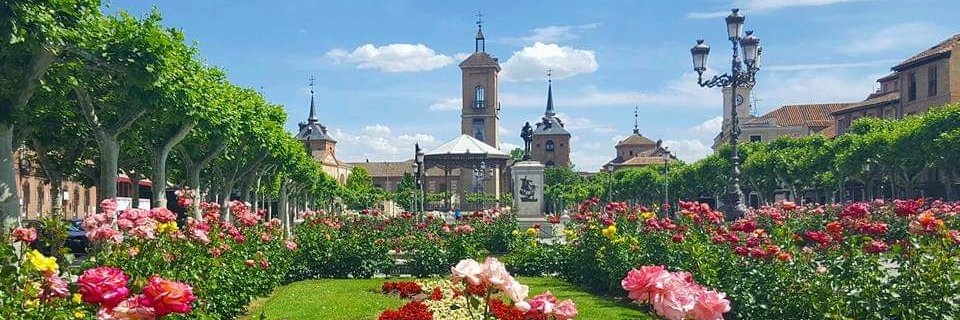 Miss Anderson banner