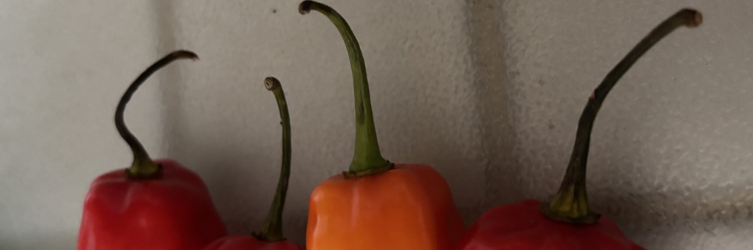 michaelaVincen2's profile banner image