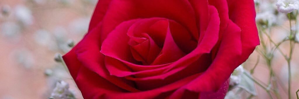 werand1234's profile banner image