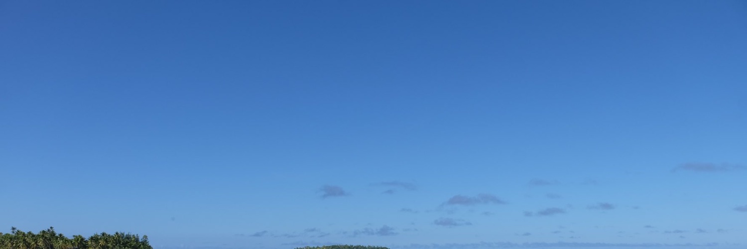 ametorin_'s profile banner image