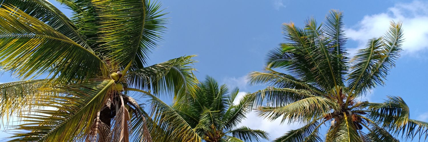 asifdonuts's profile banner image