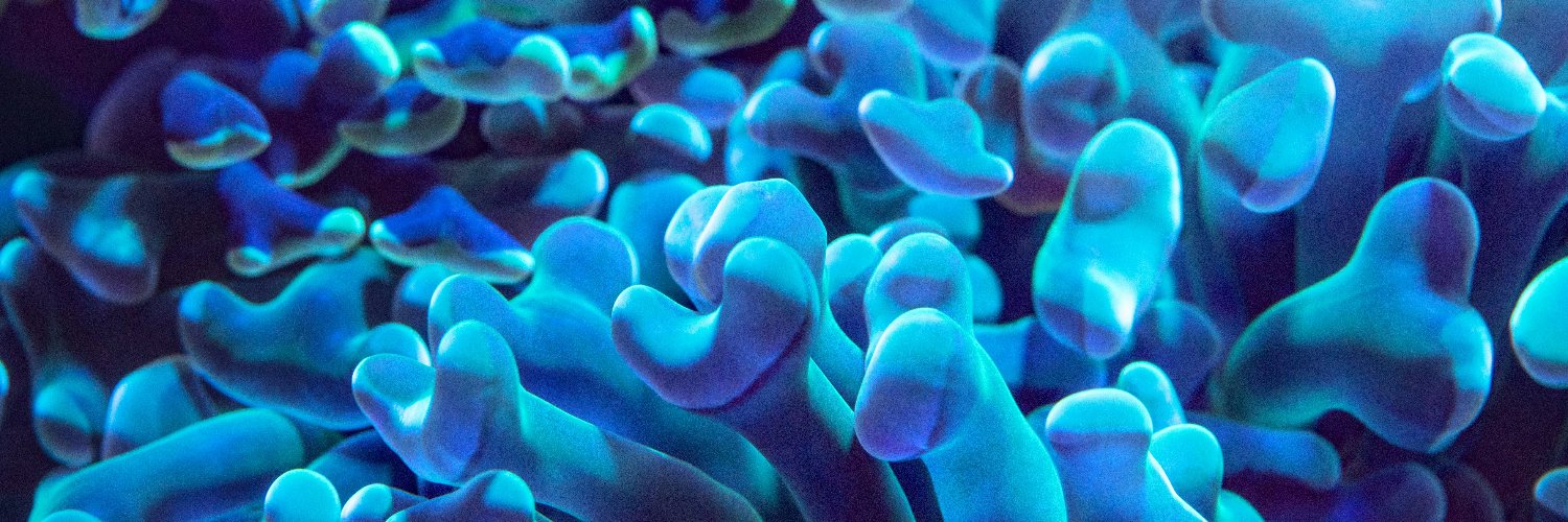 Fernando Garcia banner