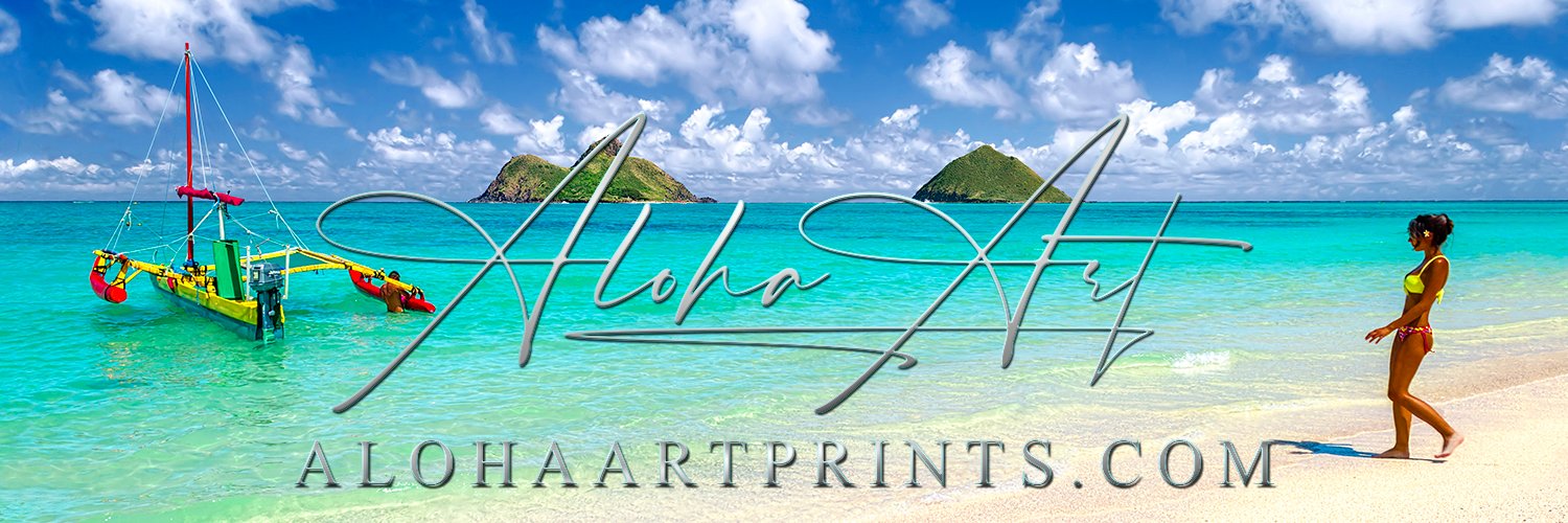 AlohaMultimedia's profile banner image