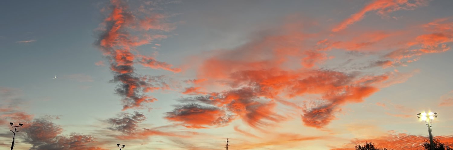 JanicoFernandes21 banner