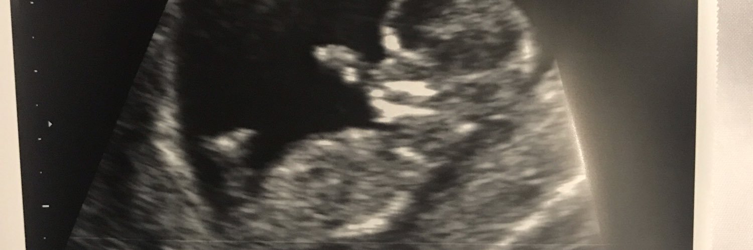 KaylieMac3's profile banner image