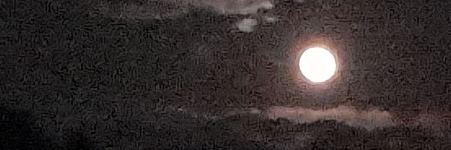 붉은여우별 banner