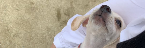 h_nn75 Profile Banner