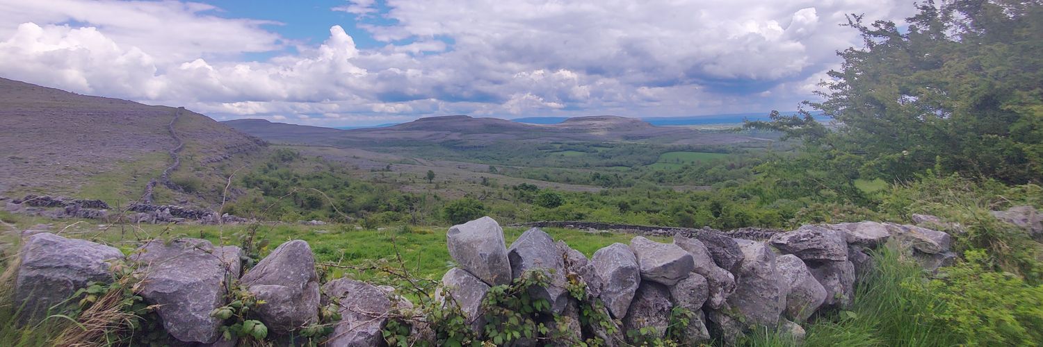 Orlaithspins's profile banner image