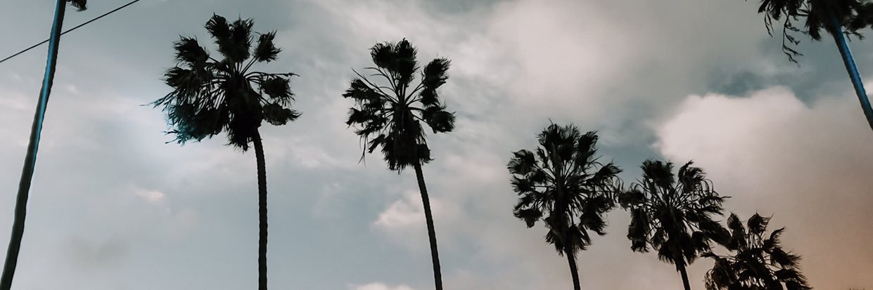 Logan_Dion's profile banner image