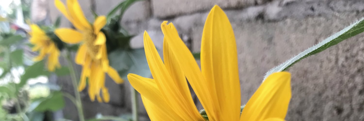 NandaAnggela's profile banner image